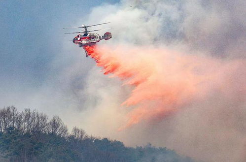 韩国一消防直升机坠毁 飞行员死亡 韩国一消防直升机坠毁 飞行员死亡