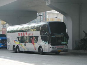 廉江到湛江汽车多少钱