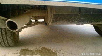 汽车尾气筒温度多少 汽车尾气筒温度多少