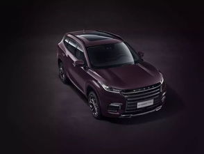 星途汽车全国排名多少