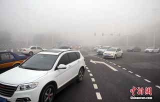 沧州汽车尾号是多少左右