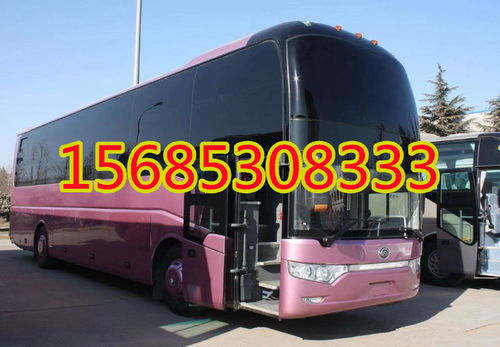 威信到盐津汽车多少钱