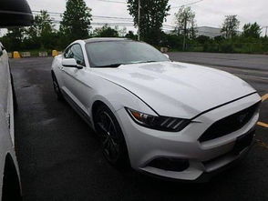 魏县野马汽车多少钱啊