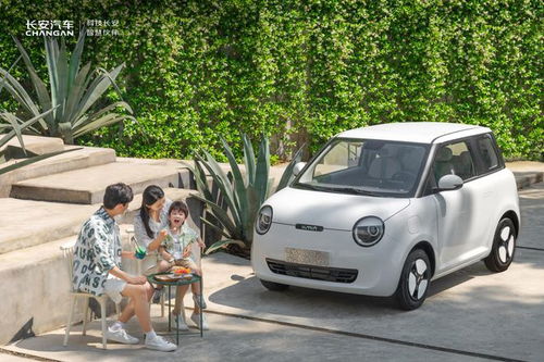 成都有多少电动汽车 成都有多少电动汽车