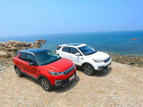 长安汽车裸车价多少