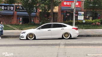 汽车趴地改装多少钱