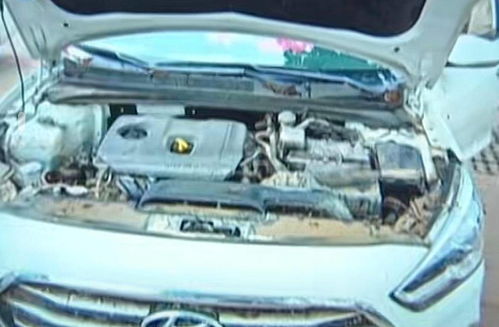 汽车水泡了保险赔多少