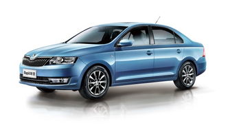 大众系列汽车共有多少种