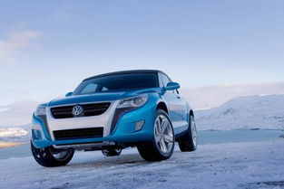 大众系列汽车共有多少种