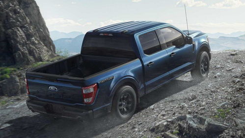 响尾蛇汽车多少钱