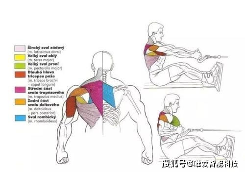 按摩是真有用还是智商税 按摩是真有用还是智商税