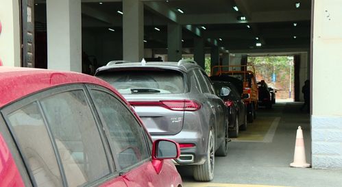 代办汽车牌照多少钱 代办汽车牌照多少钱