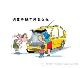 汽车打火要打到多少转