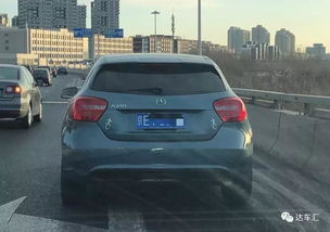 壁虎汽车贴多少钱