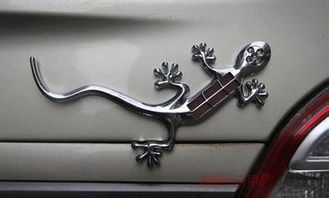 壁虎汽车贴多少钱