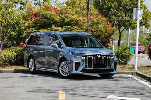 岚途MPV汽车多少钱