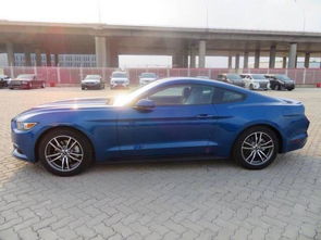 野马汽车油耗多少