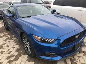 野马汽车油耗多少