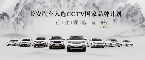 长安汽车标牌长宽是多少