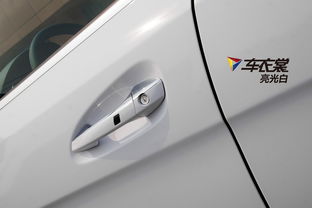 汽车后档贴膜多少钱