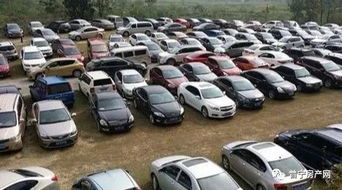 巨野汽车二队占地多少亩