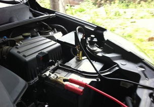 汽车没电了接电多少钱 汽车没电了接电多少钱