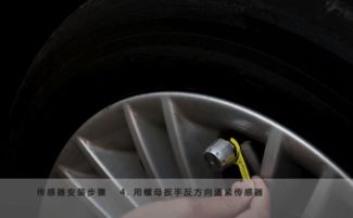 汽车胎压检测多少钱