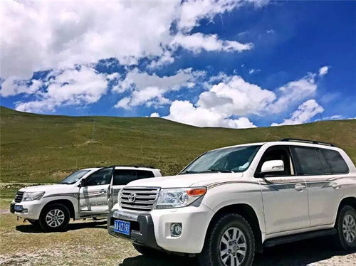 围场到隆化汽车多少钱