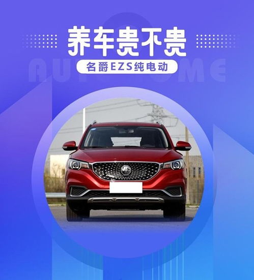 电动汽车养车费用多少 电动汽车养车费用多少