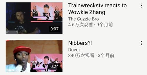 甲亢哥大张伟合唱《阳光彩虹小白马》