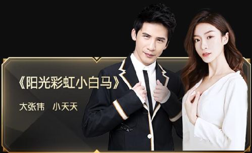 甲亢哥大张伟合唱《阳光彩虹小白马》