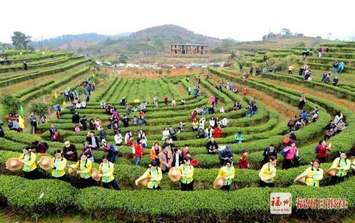 福建福耀科技大学领导班子亮相 福建福耀科技大学领导班子亮相