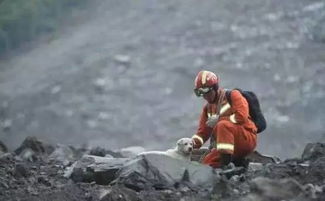 中国救援队在缅甸灾区挖出40斤黄金 中国救援队在缅甸灾区挖出40斤黄金