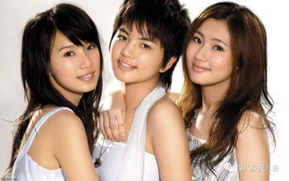 广末凉子涉嫌袭击护士被逮捕