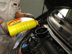 汽车换波箱油多少钱