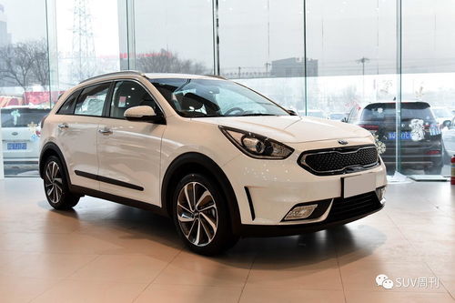 进口起亚汽车多少钱