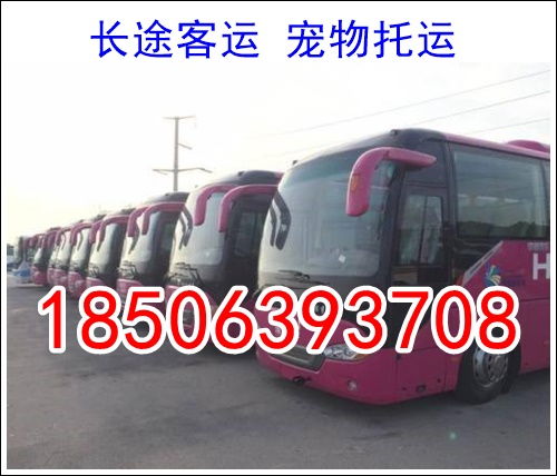 房县到东莞汽车多少钱