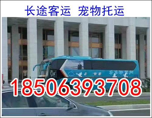 房县到东莞汽车多少钱