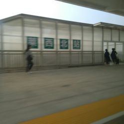 莱西汽车站电话是多少