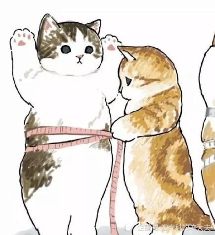 600斤汽车油耗多少吨