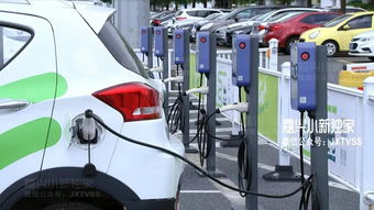 嘉兴共享汽车投放多少钱