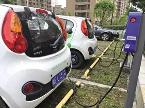 嘉兴共享汽车投放多少钱