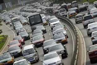 五一沧州汽车限号多少