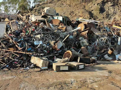 报废汽车买卖要多少费用