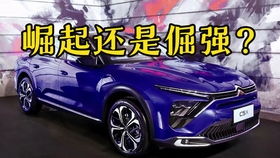 买汽车最多分期多少