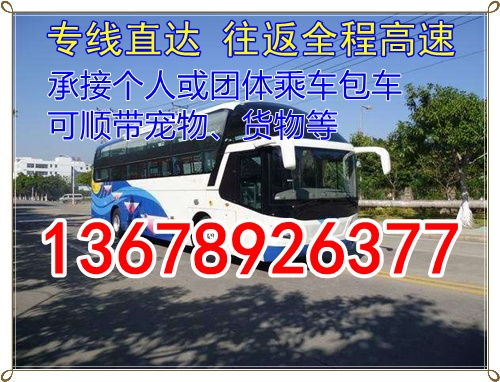 鹿邑去郸城汽车多少钱