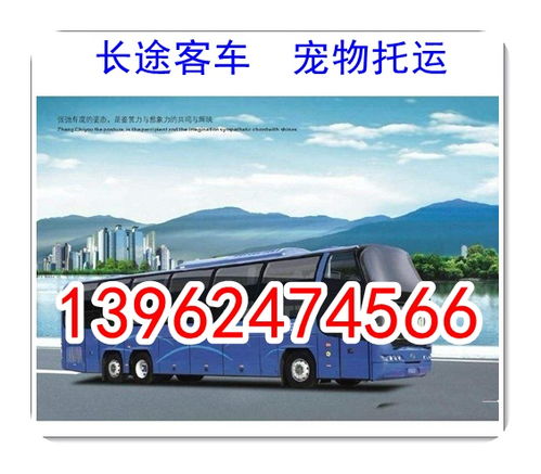 鹿邑去郸城汽车多少钱