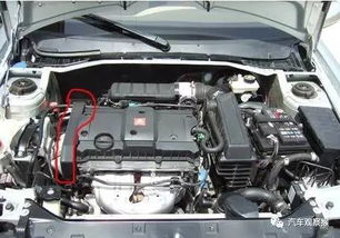 汽车皮带更换多少元钱