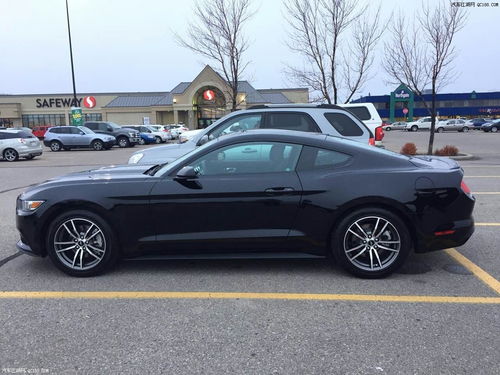 汽车灰色需要多少钱