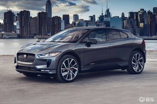 汽车灰色需要多少钱